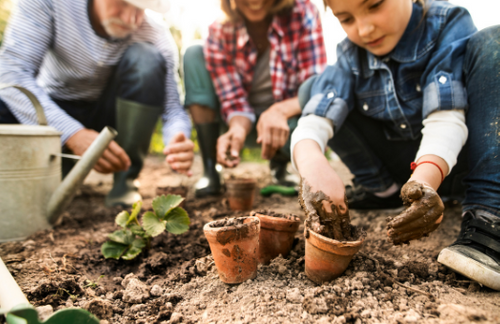Who are gardening's new customers?